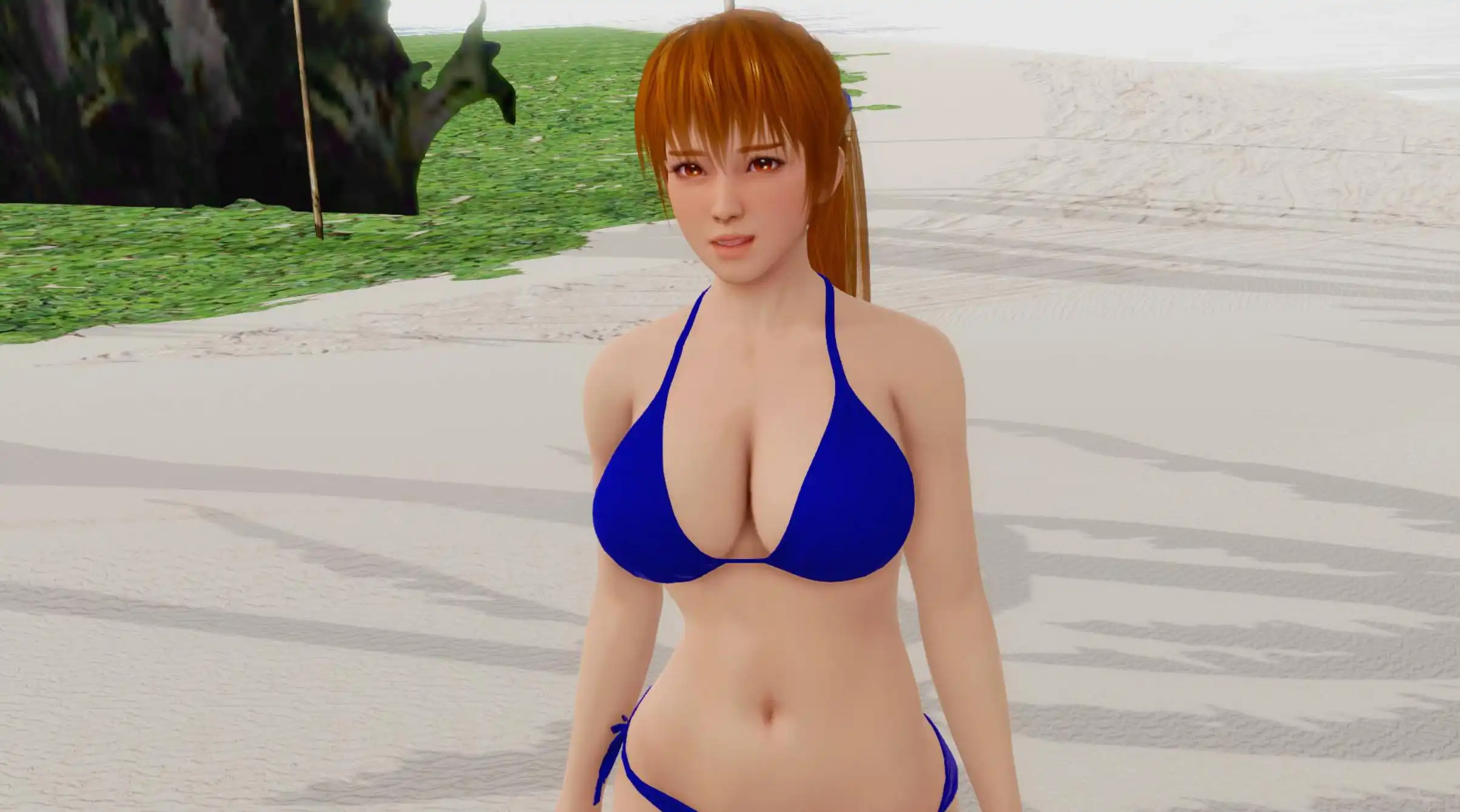 维纳斯岛上的生活 (4).png